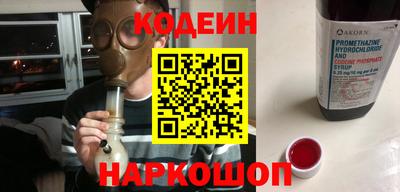 СК Кингисепп