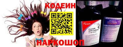 СК Кингисепп