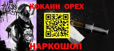 СК Кингисепп