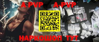 СК Кингисепп