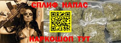 СК Кингисепп