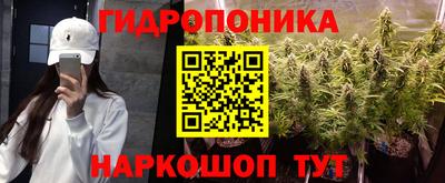 прущая мука Кимры