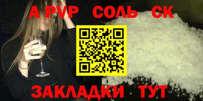 СК Кингисепп