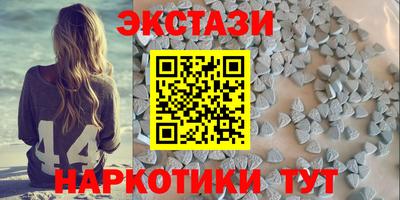 СК Кингисепп