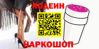 СК Кингисепп
