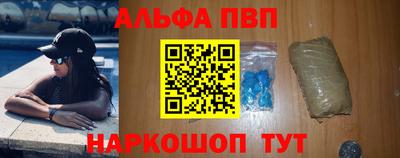 СК Кингисепп