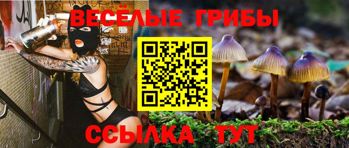 МЕФ кристаллы  A-PVP СОЛЬ кристаллы  LSD-25  Меф МЯУ МЯУ  Вход с VPN  Конопля  ЭКСТАЗИ  Cocaine  Карасук  NBOMe  АМФ  